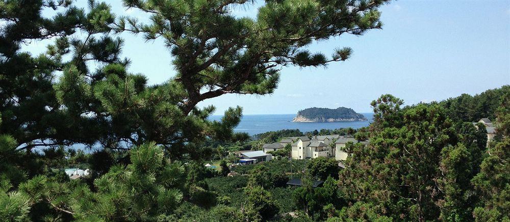 Jeju Bom Otel Seogwipo Dış mekan fotoğraf